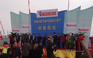 武漢火鳥禮儀文化公司 專業(yè)策劃與視覺呈現，助力投產儀式的成功