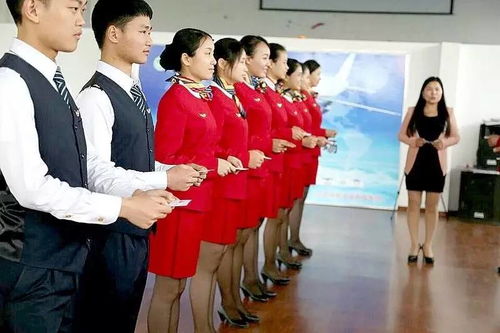 服務禮儀實戰訓練指南 從理論到行動的干貨寶典